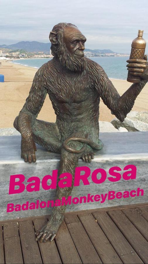 Badarosa 2 House10Min To Barceloncity&Nearto Beach Badalona Luaran gambar